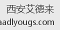 西安艾德来