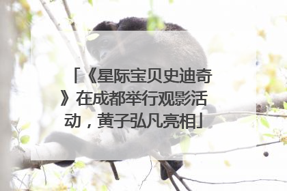 《星际宝贝史迪奇》在成都举行观影活动，黄子弘凡亮相