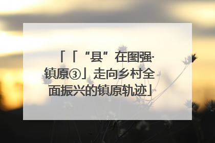「“县”在图强·镇原③」走向乡村全面振兴的镇原轨迹