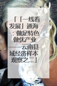 「一线看发展」通海：做足特色 做优产业——云南县域经济样本观察之二