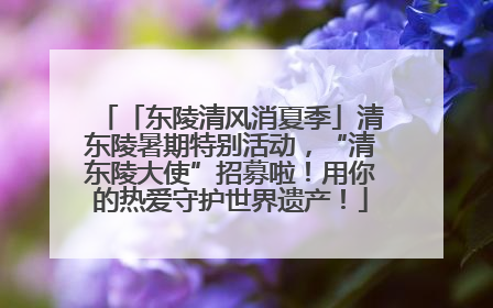 「东陵清风消夏季」清东陵暑期特别活动，“清东陵大使”招募啦！用你的热爱守护世界遗产！