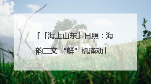 「海上山东」日照：海韵三文 “鲜”机涌动