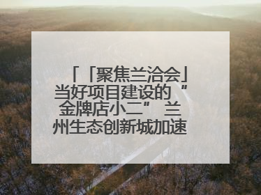 「聚焦兰洽会」当好项目建设的“金牌店小二” 兰州生态创新城加速推进项目建设