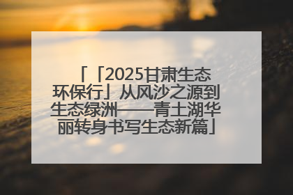 「2025甘肃生态环保行」从风沙之源到生态绿洲——青土湖华丽转身书写生态新篇