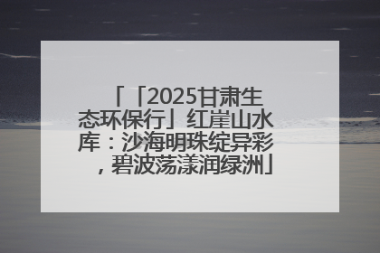 「2025甘肃生态环保行」红崖山水库：沙海明珠绽异彩，碧波荡漾润绿洲