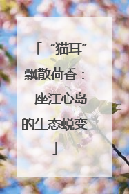 “猫耳”飘散荷香：一座江心岛的生态蜕变