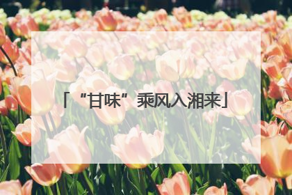 “甘味”乘风入湘来
