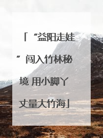 “益阳走娃”闯入竹林秘境 用小脚丫丈量大竹海