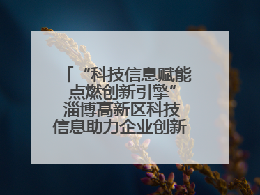 “科技信息赋能 点燃创新引擎” 淄博高新区科技信息助力企业创新发展培训会举办