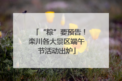 “粽”要预告！栾川各大景区端午节活动出炉