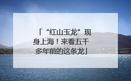 “红山玉龙”现身上海！来看五千多年前的这条龙
