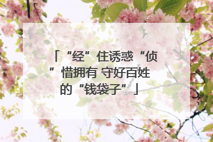 “经”住诱惑“侦”惜拥有 守好百姓的“钱袋子”