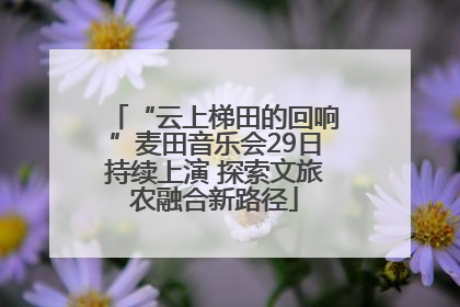 “云上梯田的回响”麦田音乐会29日持续上演 探索文旅农融合新路径