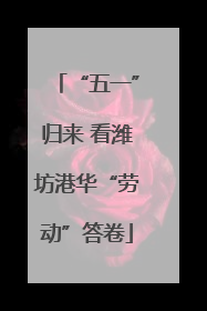 “五一”归来 看潍坊港华“劳动”答卷