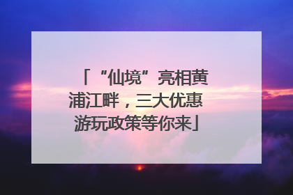 “仙境”亮相黄浦江畔，三大优惠游玩政策等你来