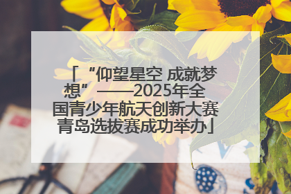 “仰望星空 成就梦想”——2025年全国青少年航天创新大赛青岛选拔赛成功举办