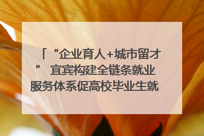 “企业育人+城市留才” 宜宾构建全链条就业服务体系促高校毕业生就业｜您牵挂的四川