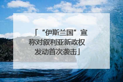 “伊斯兰国”宣称对叙利亚新政权发动首次袭击