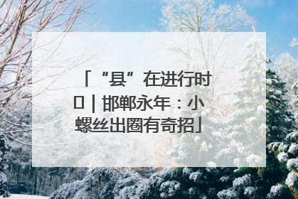“县”在进行时⑬｜邯郸永年：小螺丝出圈有奇招