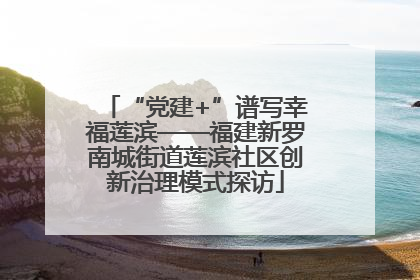 “党建+”谱写幸福莲滨——福建新罗南城街道莲滨社区创新治理模式探访