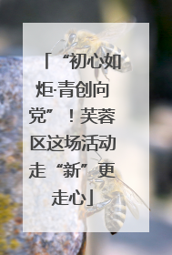 “初心如炬·青创向党”！芙蓉区这场活动走“新”更走心