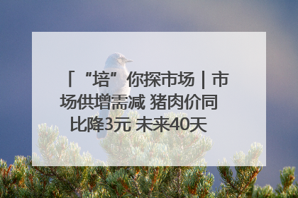 “培”你探市场｜市场供增需减 猪肉价同比降3元 未来40天便宜猪肉敞开吃