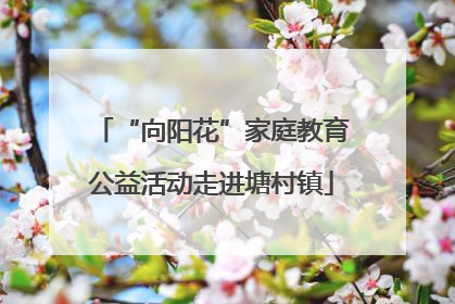 “向阳花”家庭教育公益活动走进塘村镇
