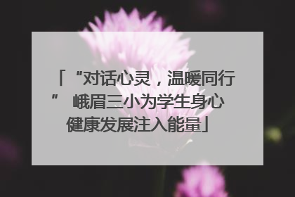 “对话心灵，温暖同行” 峨眉三小为学生身心健康发展注入能量