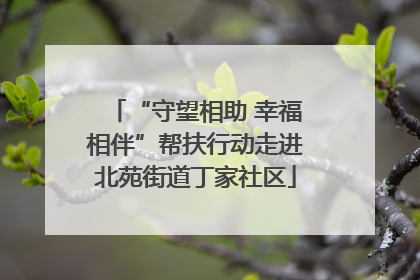 “守望相助 幸福相伴”帮扶行动走进北苑街道丁家社区