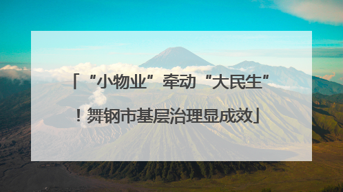 “小物业”牵动“大民生”！舞钢市基层治理显成效
