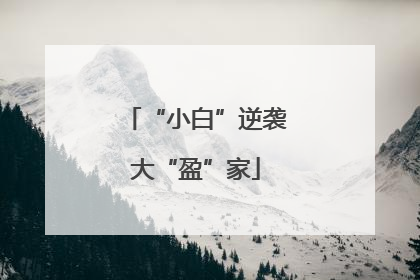“小白”逆袭大“盈”家