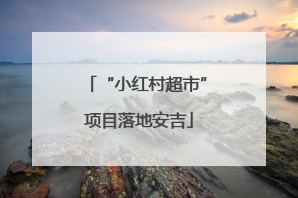 “小红村超市”项目落地安吉