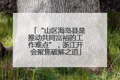 “山区海岛县是推动共同富裕的工作难点”，浙江开会聚焦破解之道
