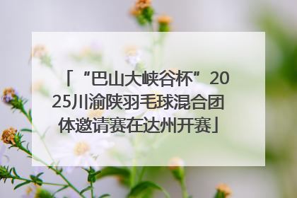 “巴山大峡谷杯”2025川渝陕羽毛球混合团体邀请赛在达州开赛