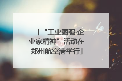 “工业图强·企业家精神”活动在郑州航空港举行