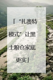 “扎赉特模式”让黑土粮仓家底更实