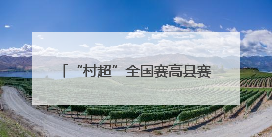 “村超”全国赛高县赛区圆满收官 小城与大赛实现“双向奔赴”
