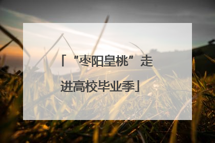 “枣阳皇桃”走进高校毕业季