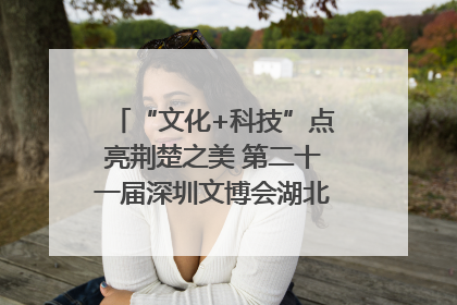 “文化+科技”点亮荆楚之美 第二十一届深圳文博会湖北馆抢“鲜”看