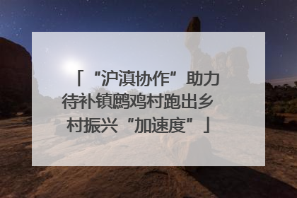 “沪滇协作”助力待补镇鹧鸡村跑出乡村振兴“加速度”