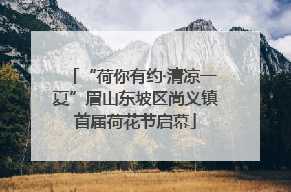 “荷你有约·清凉一夏”眉山东坡区尚义镇首届荷花节启幕