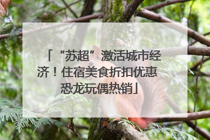 “苏超”激活城市经济！住宿美食折扣优惠 恐龙玩偶热销
