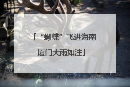 “蝴蝶”飞进海南 厦门大雨如注