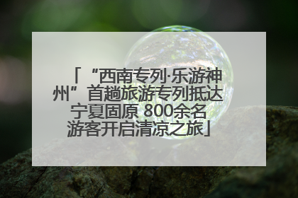 “西南专列·乐游神州”首趟旅游专列抵达宁夏固原 800余名游客开启清凉之旅