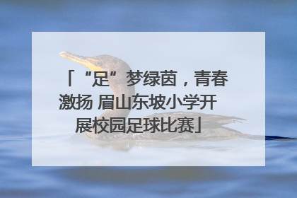 “足”梦绿茵，青春激扬 眉山东坡小学开展校园足球比赛