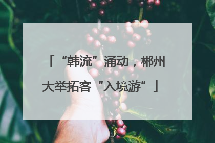 “韩流”涌动，郴州大举拓客“入境游”