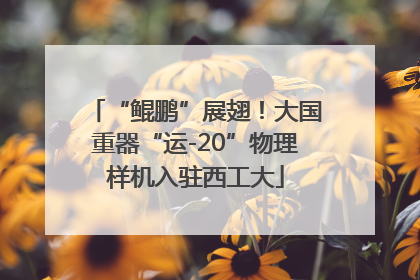 “鲲鹏”展翅！大国重器“运-20”物理样机入驻西工大