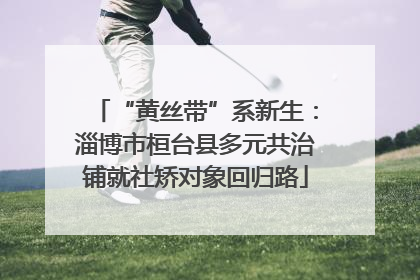 “黄丝带”系新生：淄博市桓台县多元共治铺就社矫对象回归路