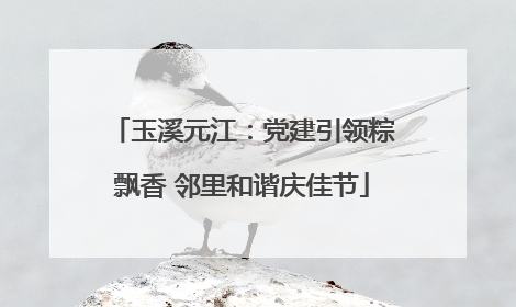 玉溪元江：党建引领粽飘香 邻里和谐庆佳节