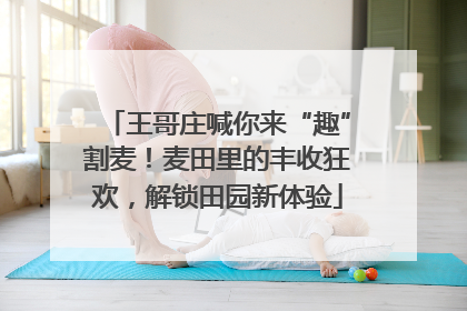 王哥庄喊你来“趣”割麦！麦田里的丰收狂欢，解锁田园新体验